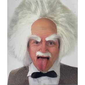 Einstein paryk i hvid