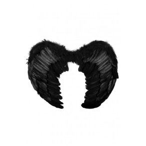 Vinger med sorte fjer