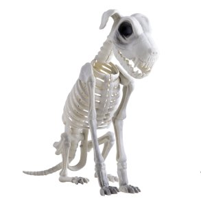 Hundeskelet dekoration